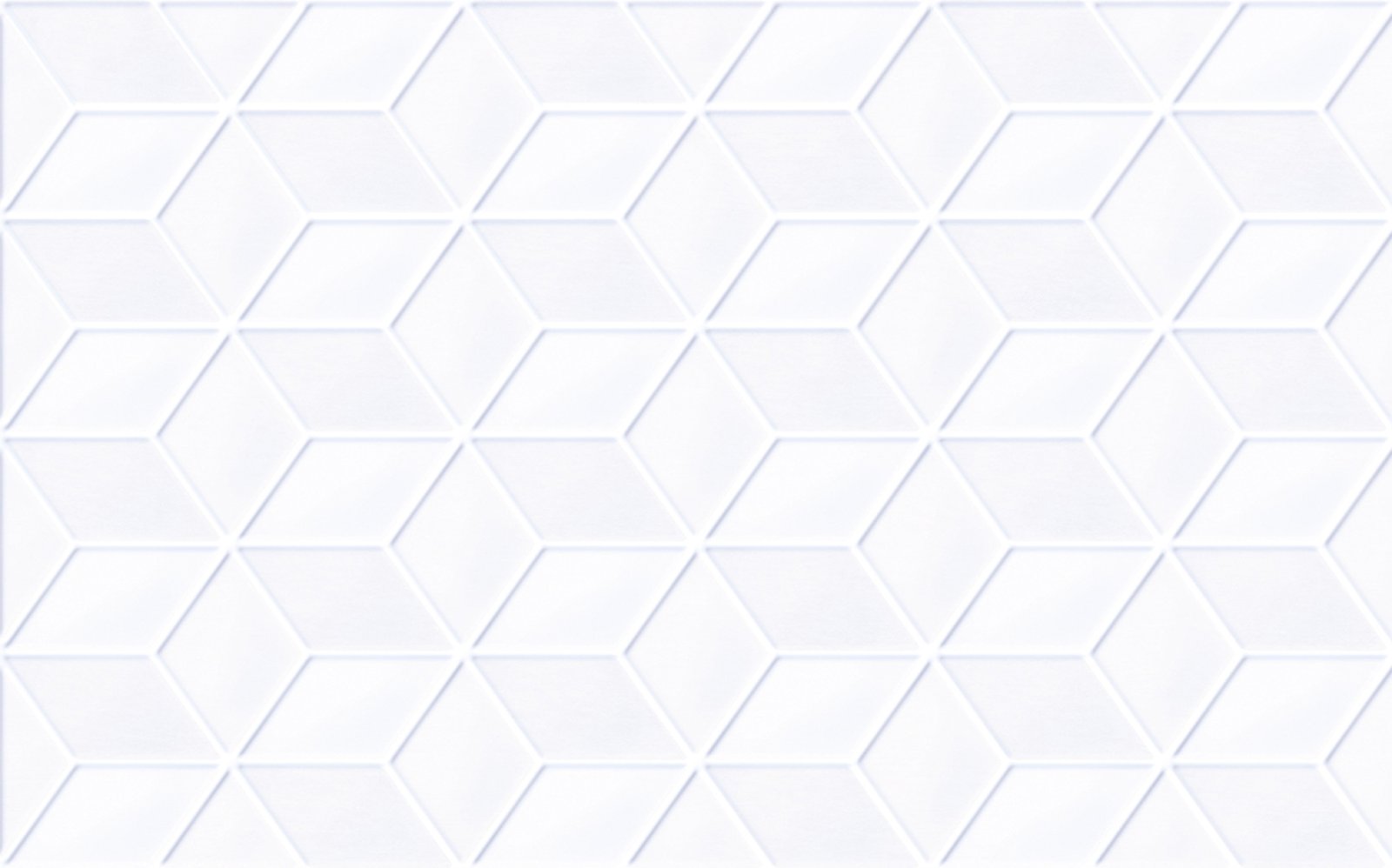 PLATINUM 25X40 BEATRIX BASIC EMBOSSED